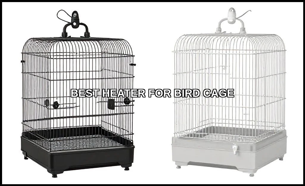 Best heater for bird cage