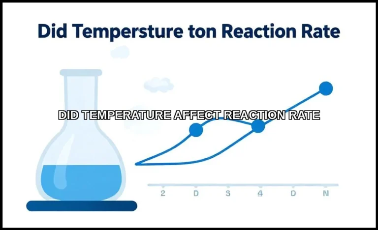 Did temperature affect reaction rate