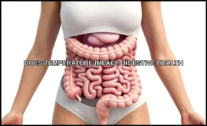 Does temperature impact digestive health