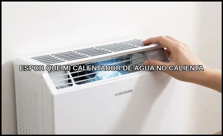 Espor que mi calentador de agua no calienta