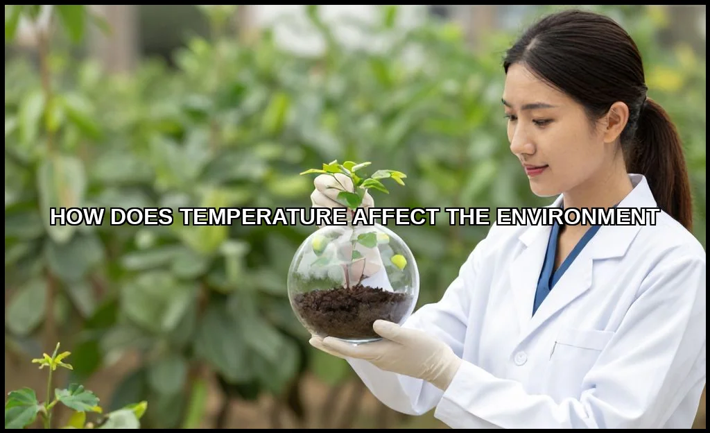 How does temperature affect the environment