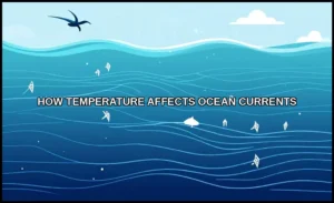 How temperature affects ocean currents