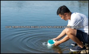 How temperature regulation influences water qualit