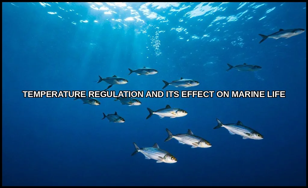 Temperature regulation and its effect on marine li