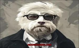 Clean vector illustration of are bradford white re